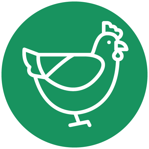 chicken logo