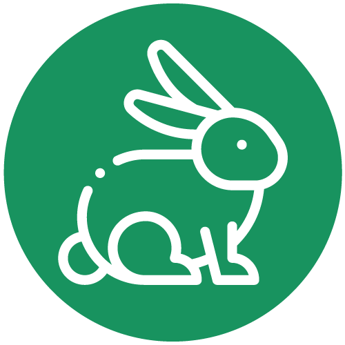 Rabbit logo